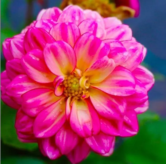 Affordable lawn mowing service for outdoor upgrades across Concord, NH - Brochu Nursery and Landscaping