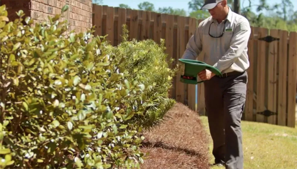 Custom yard maintenance experts serving Fort Walton Beach, FL - Brock Lawn & Pest Control