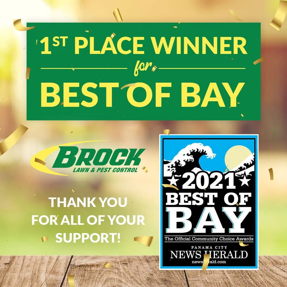 Professional yard cleanup service for outdoor upgrades in Lynn Haven, FL by Brock Lawn & Pest Control