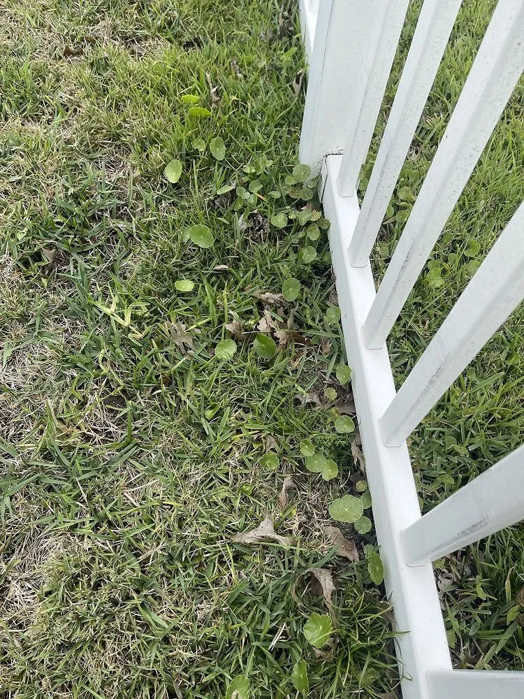 Top-rated outdoor landscaping near you across Lynn Haven, FL - Brock Lawn & Pest Control