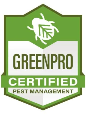 Professional landscape design in Lynn Haven, FL - Brock Lawn & Pest Control