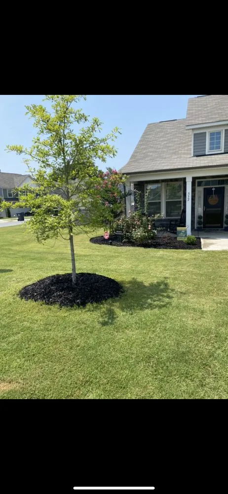 Local residential landscaping experts serving Zebulon, NC - Brockington landscaping