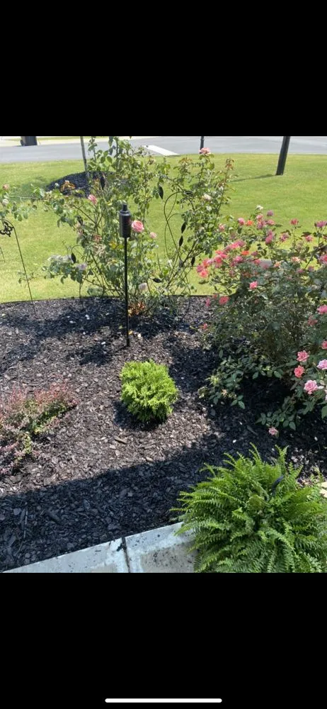 Local residential landscaping for beautiful yards across Zebulon, NC - Brockington landscaping
