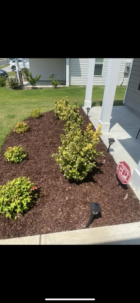 Professional garden landscaping in Zebulon, NC - Brockington landscaping