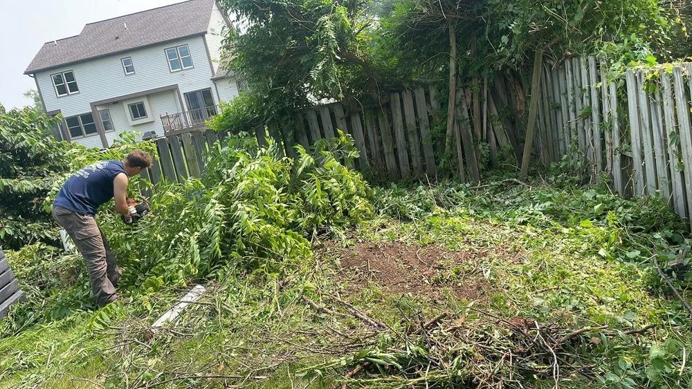 Local yard maintenance in Fairport, NY - Brockman Tree & Lawn Care