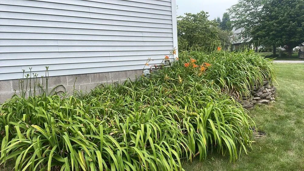 Expert yard maintenance in Fairport, NY by Brockman Tree & Lawn Care