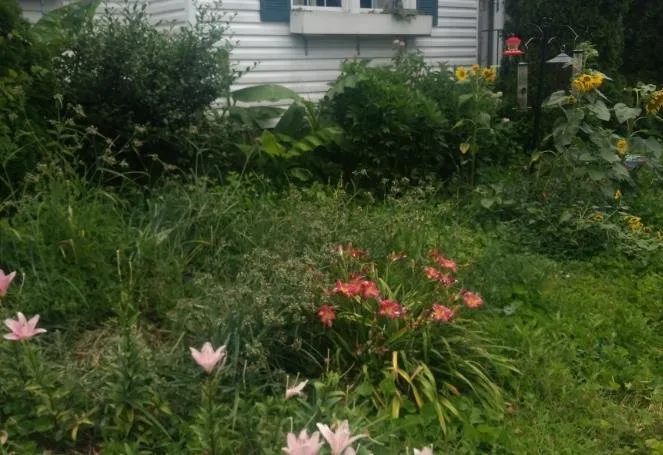 Reliable yard maintenance for beautiful yards across Chattanooga, TN - Brock's Affordable Lawn Care