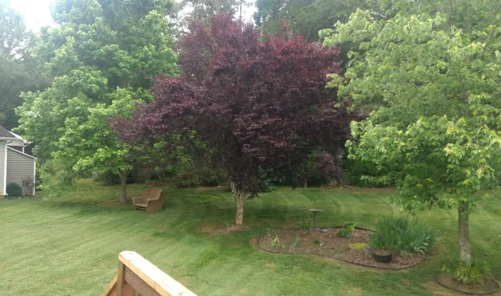 Top-rated landscaping services for homes in Chattanooga, TN by Brock's Affordable Lawn Care