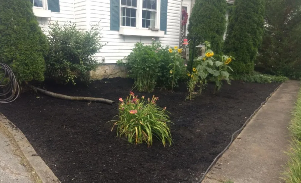 Top-rated lawn care service experts serving Chattanooga, TN - Brock's Affordable Lawn Care