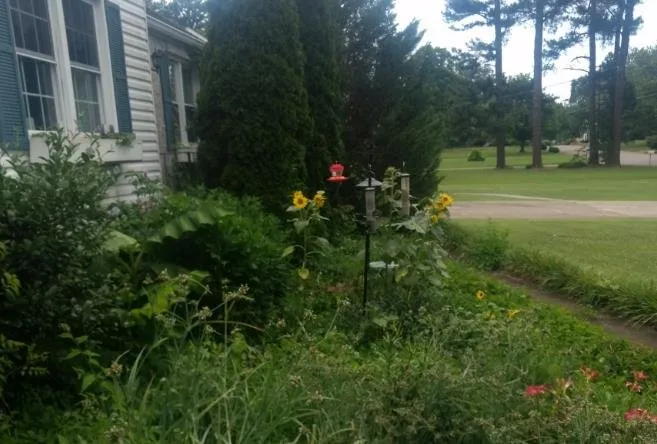 Professional yard cleanup service with custom design across Chattanooga, TN - Brock's Affordable Lawn Care