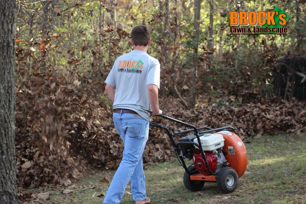 Affordable lawn care service in Joplin, MO by Brock's Lawn & Landscape