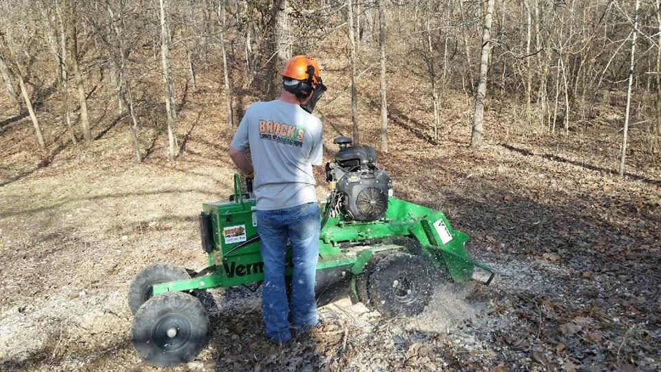 Professional landscaping services for homes in Joplin, MO by Brock's Lawn & Landscape