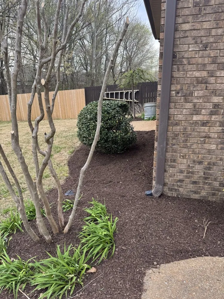 Expert landscape design in Jackson, TN - Brock's Lawn and Landscape
