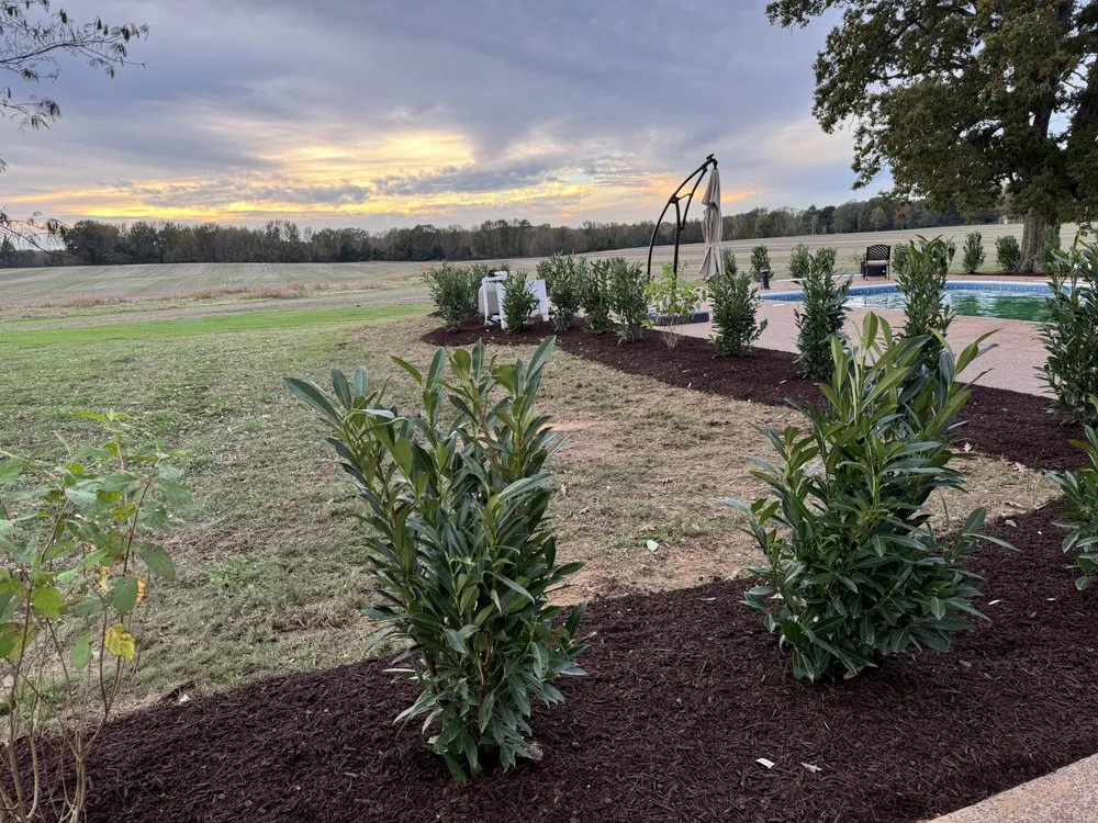 Reliable yard maintenance experts serving Jackson, TN - Brock's Lawn and Landscape