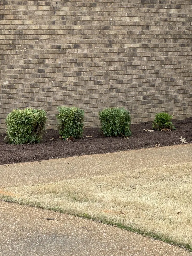 Affordable landscaping services experts serving Jackson, TN - Brock's Lawn and Landscape