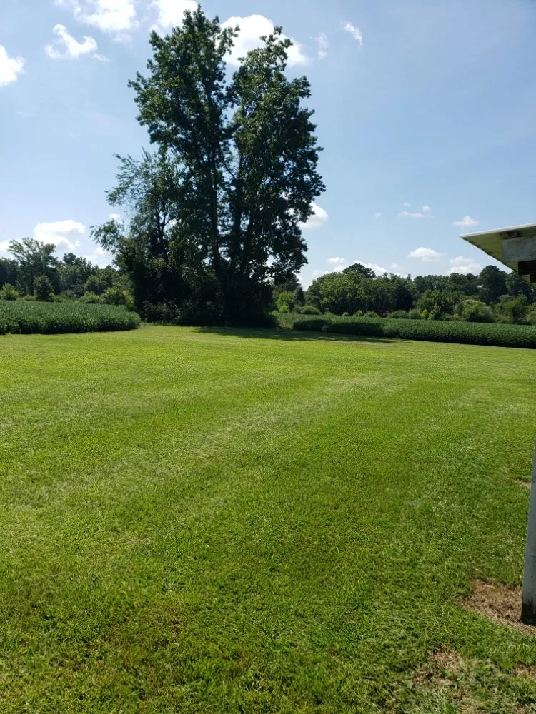 Custom landscape installation in Selma, NC - Brock's Lawn Care