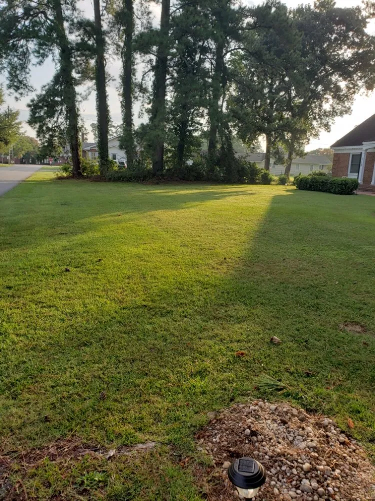 Local outdoor landscaping in Selma, NC by Brock's Lawn Care