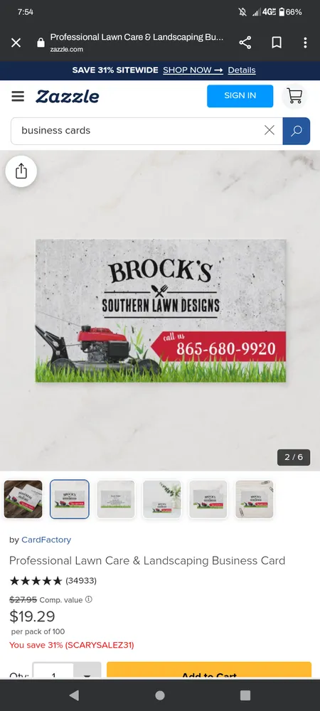 Professional yard cleanup service experts serving Knoxville, TN - Brock's Southern Lawn Designs