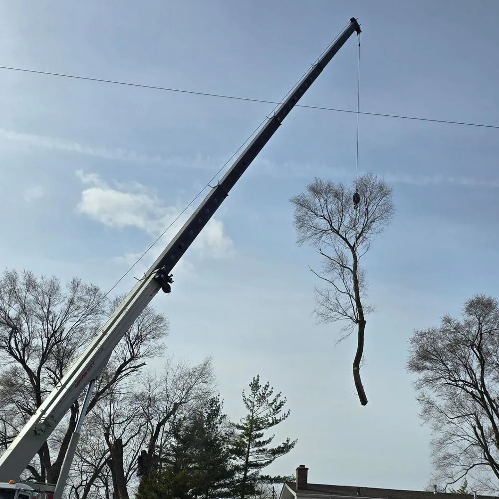 Trusted garden landscaping in Saint Johns, MI by Brock's Tree Service