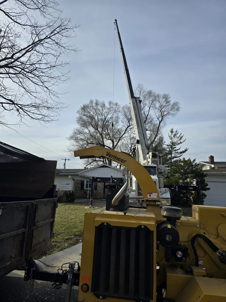 Trusted landscaping services for year-round maintenance across Saint Johns, MI - Brock's Tree Service