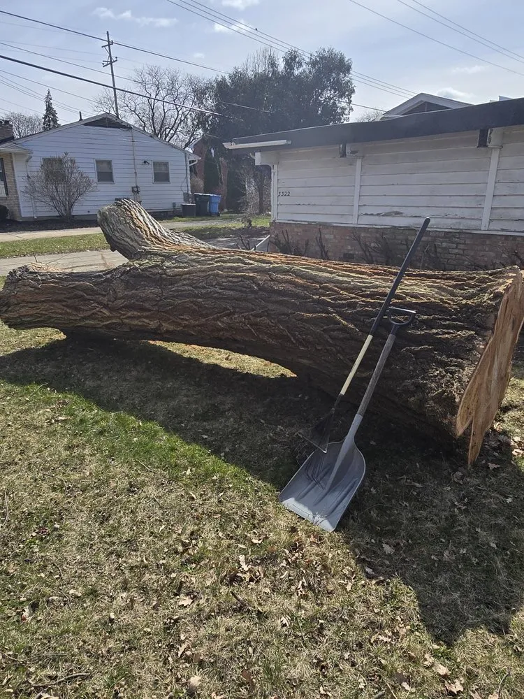 Custom residential landscaping in Saint Johns, MI - Brock's Tree Service