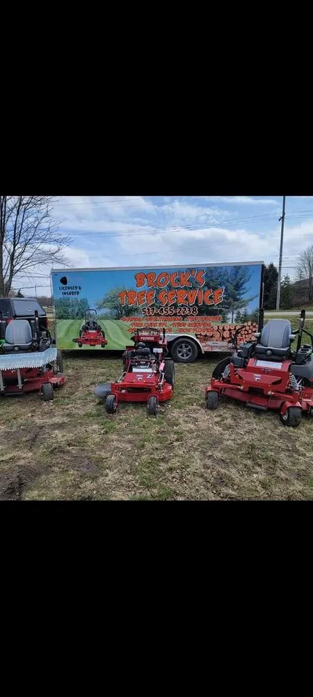 Trusted lawn mowing service for homes in Saint Johns, MI by Brock's Tree Service
