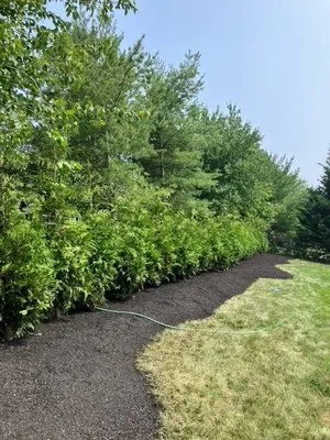 Broderick's Landscape Contracting Logo