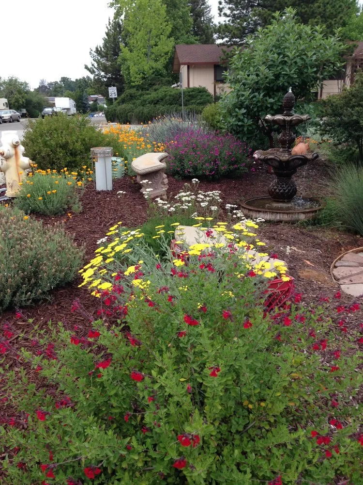 Trusted yard cleanup service in Sacramento, CA by Brodeur Landscapes