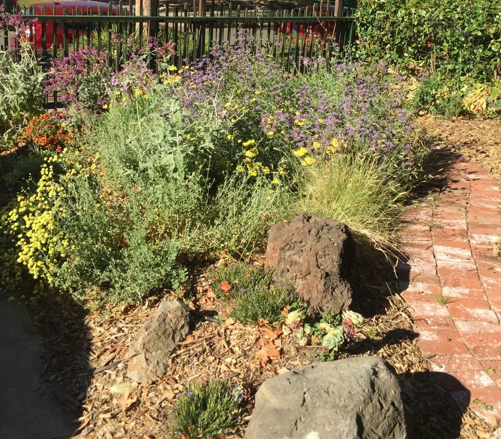 Top-rated garden landscaping experts serving Sacramento, CA - Brodeur Landscapes