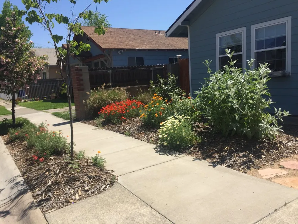 Local landscaping services for beautiful yards in Sacramento, CA by Brodeur Landscapes