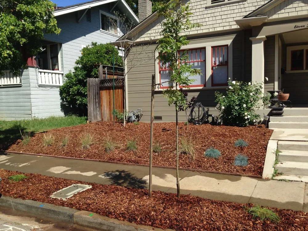 Expert lawn care service for homes in Sacramento, CA by Brodeur Landscapes