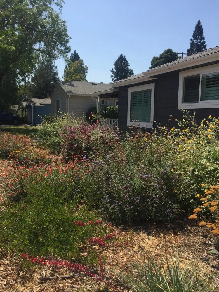 Trusted landscaping services in Sacramento, CA by Brodeur Landscapes