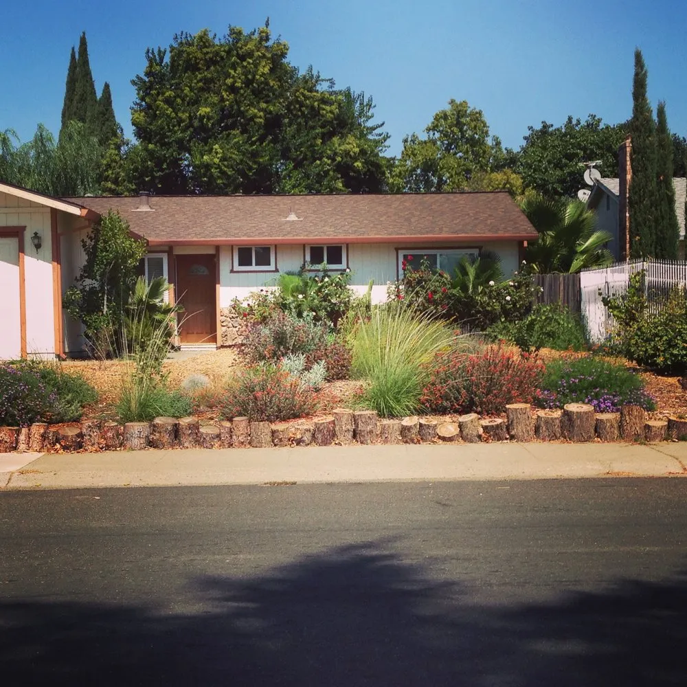 Trusted landscape installation for year-round maintenance in Sacramento, CA by Brodeur Landscapes