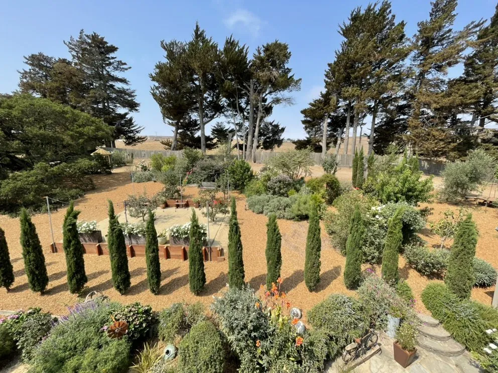 Reliable yard maintenance with custom design across Sebastopol, CA - Brodie Castle Landcare