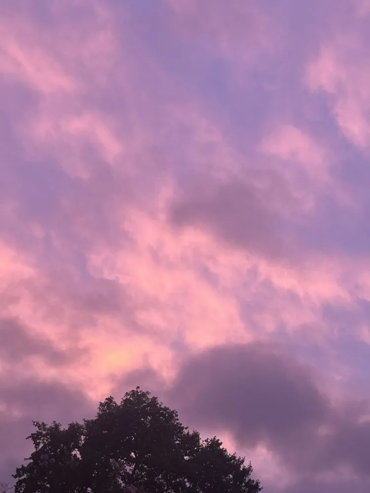 Local residential landscaping in Albemarle, NC by Brody Atkinson