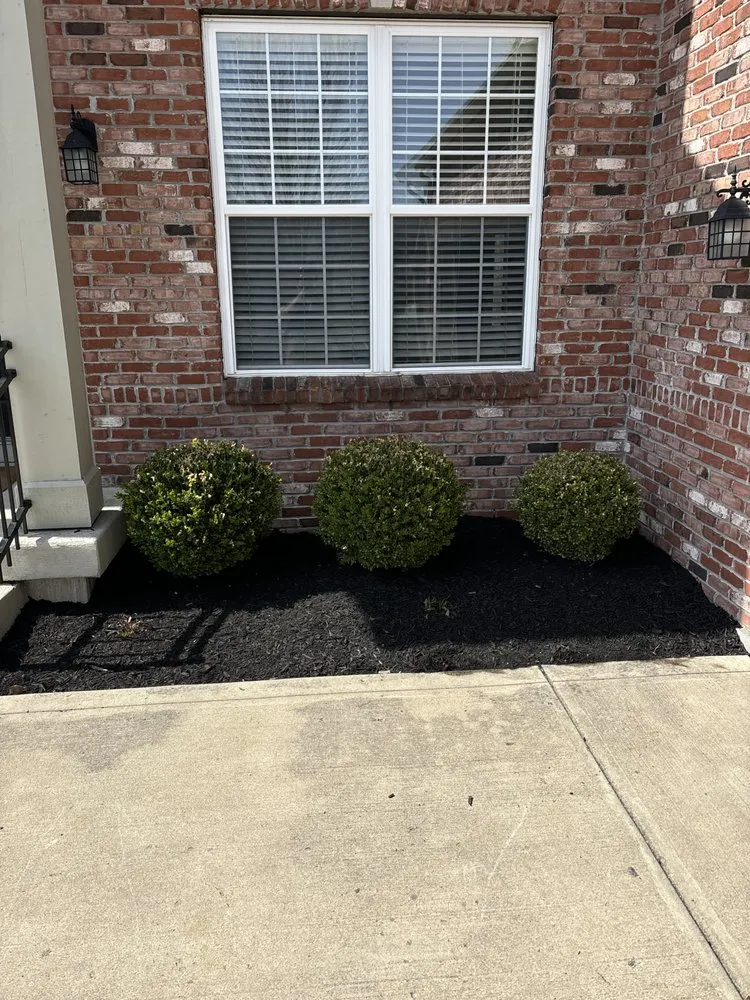 Professional landscaping services experts serving Noblesville, IN - Brody Gump