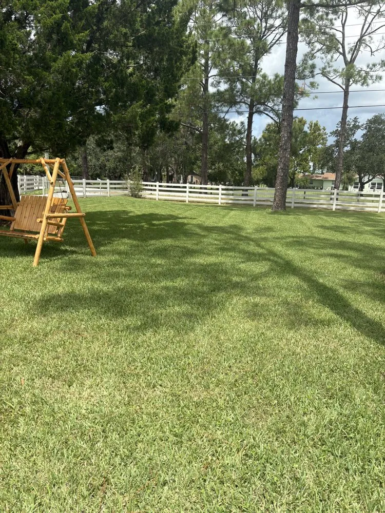 Top-rated outdoor landscaping for year-round maintenance across Port Orange, FL - Brody’s Country Cuts