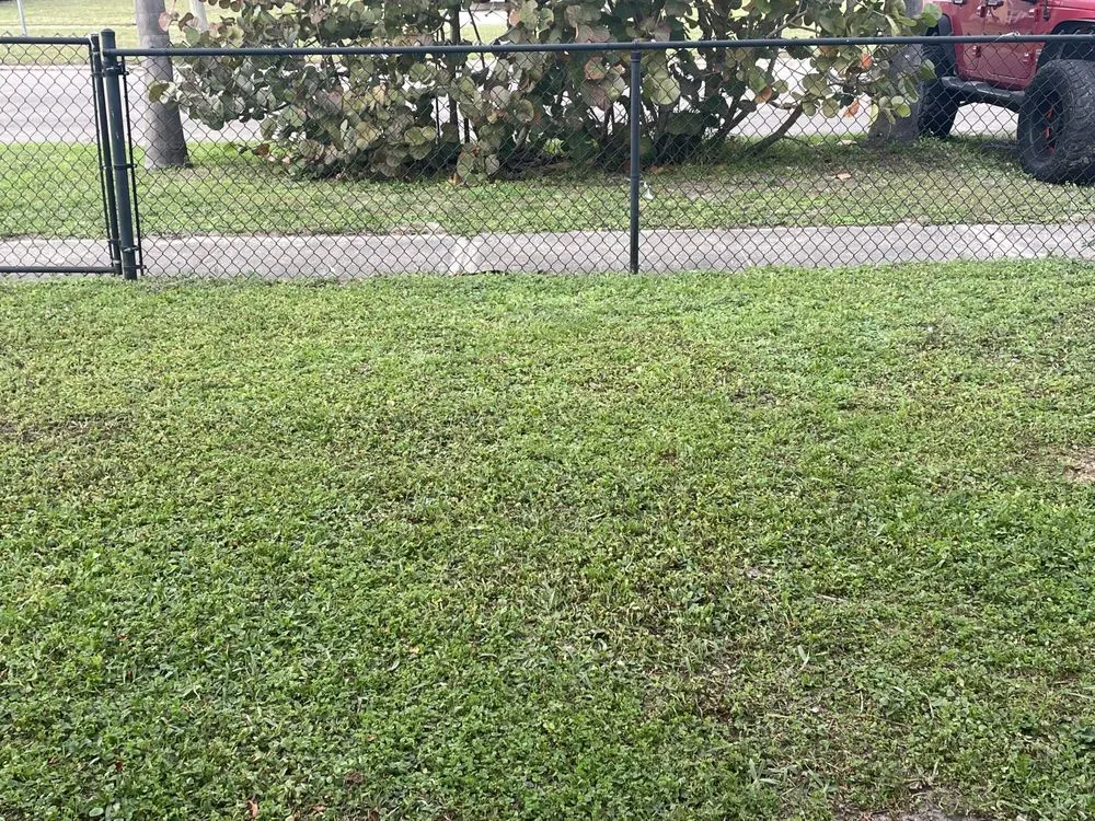 Custom landscape installation experts serving Apollo Beach, FL - Brody’s Lawn Care