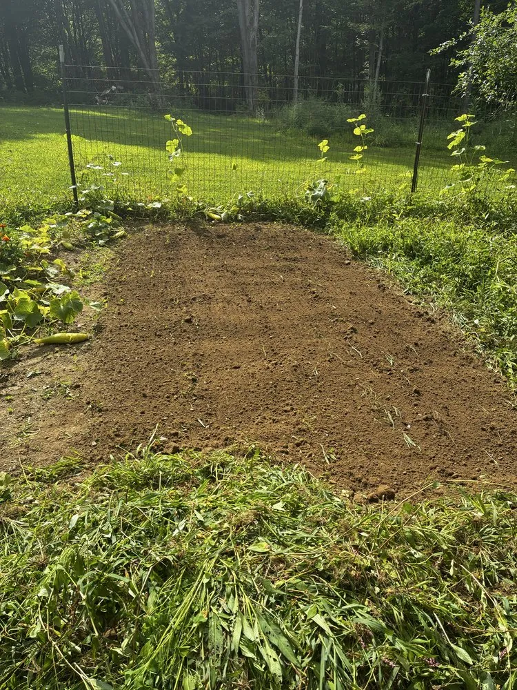 Professional yard cleanup service in Sandy Lake, PA - Brody’s Lawn Care
