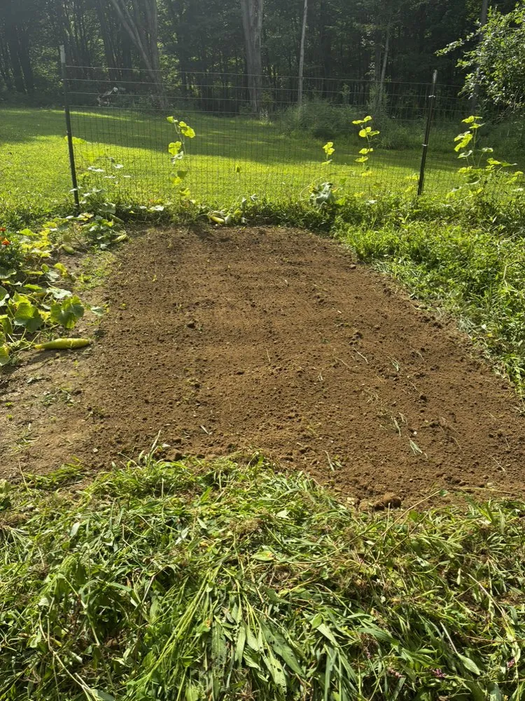 Expert lawn care service in Sandy Lake, PA by Brody’s Lawn Care