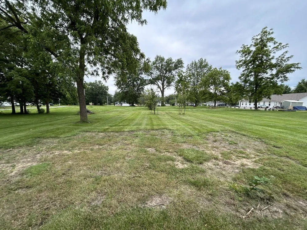 Affordable landscape installation for outdoor upgrades in Sturgeon, MO by Brodys