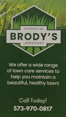 Brodys
