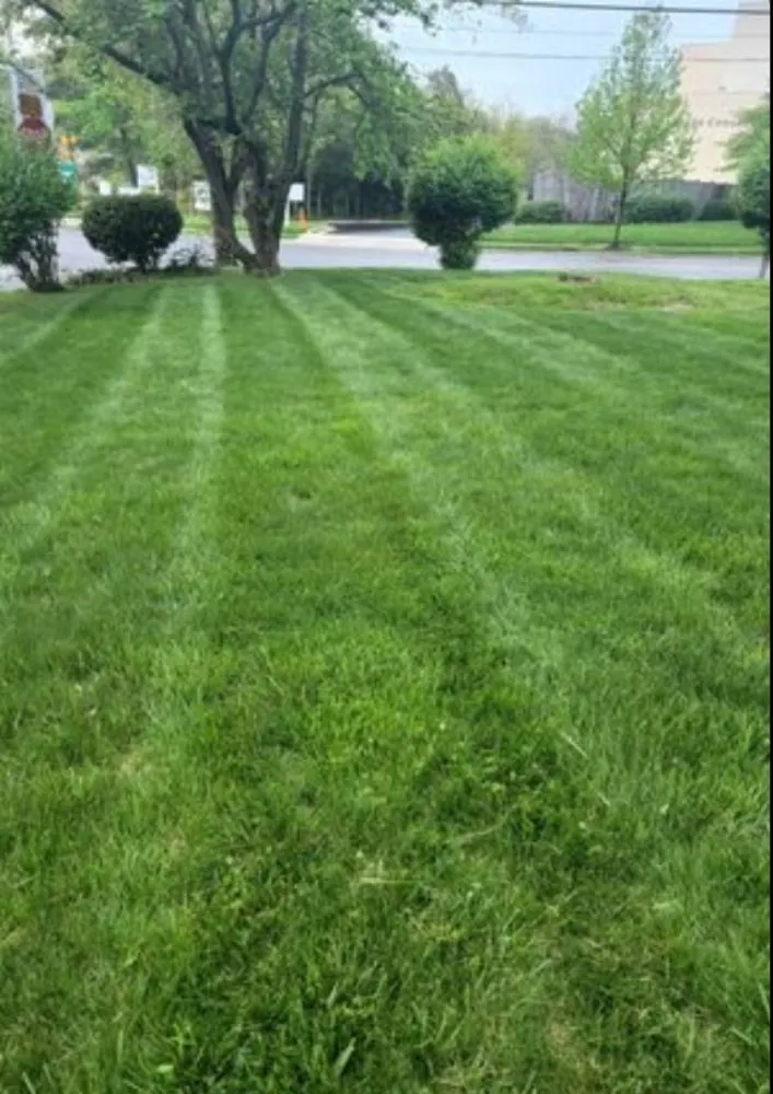 Expert lawn mowing service for beautiful yards across Tulsa, OK - BrodysYard