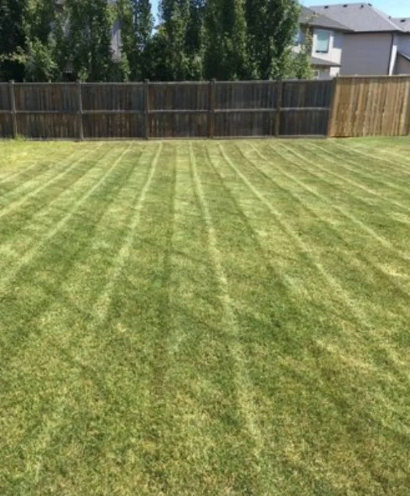 Affordable landscape installation in Tulsa, OK - BrodysYard