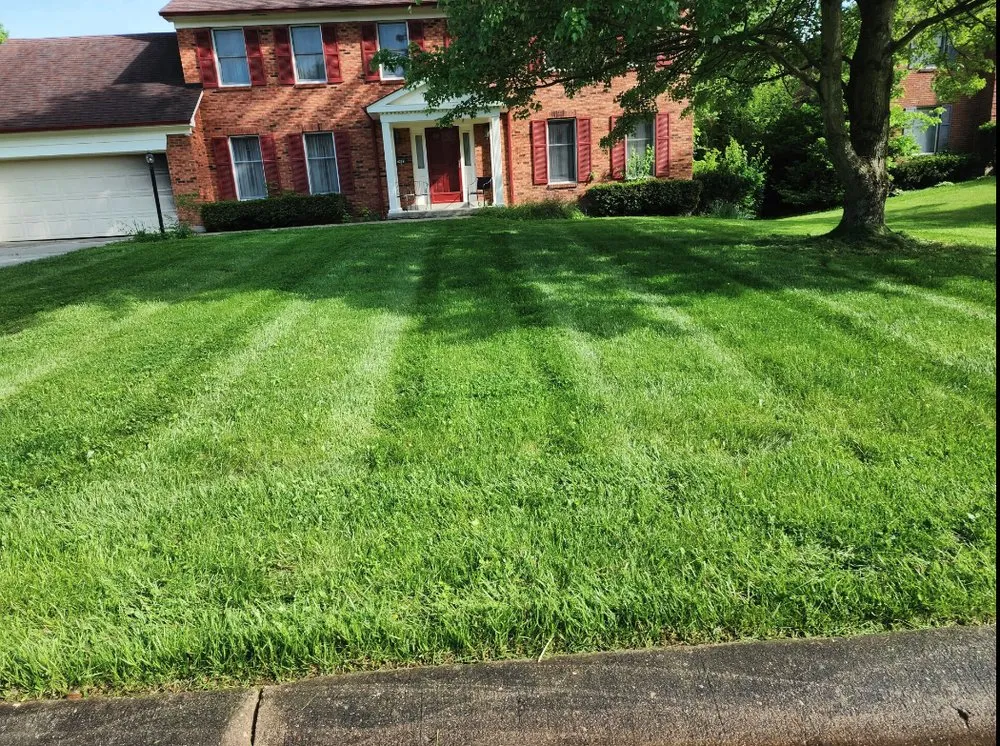 Affordable yard cleanup service in Cincinnati, OH - Brogan Lawns & Landscapes
