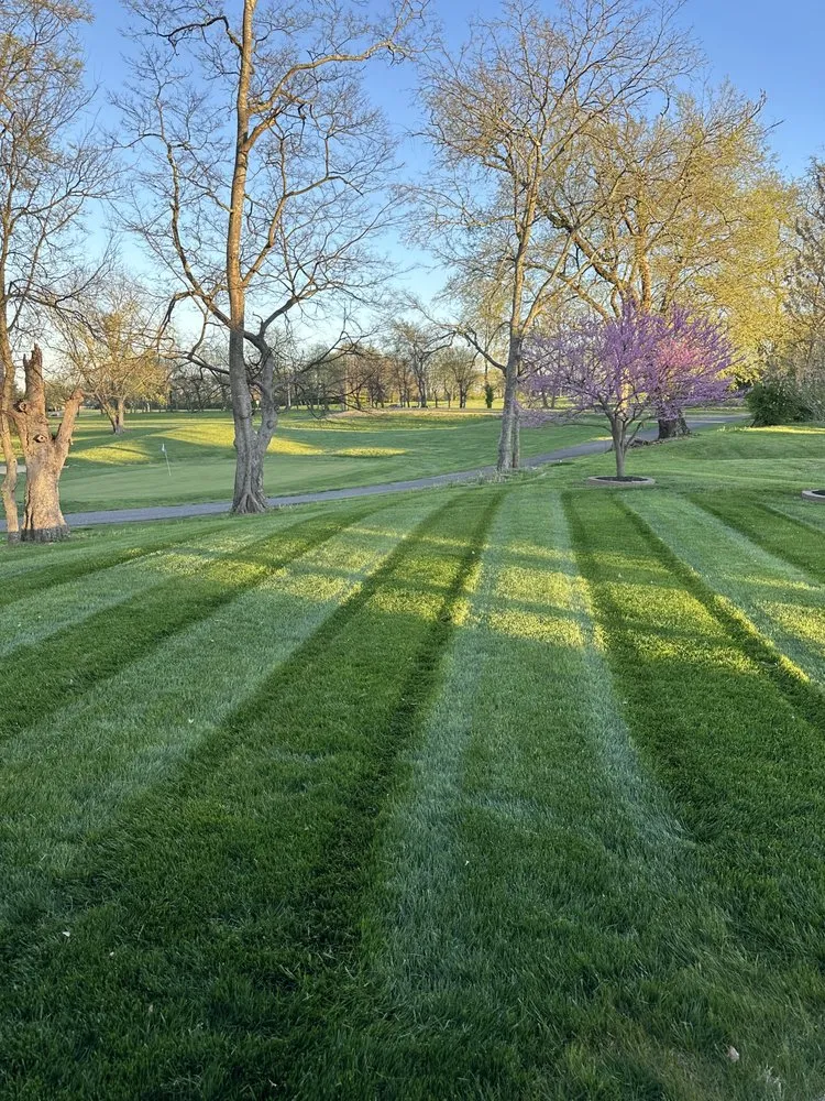 Expert yard cleanup service experts serving Gallatin, TN - Brogan’s Lawncare & Pressure Washing