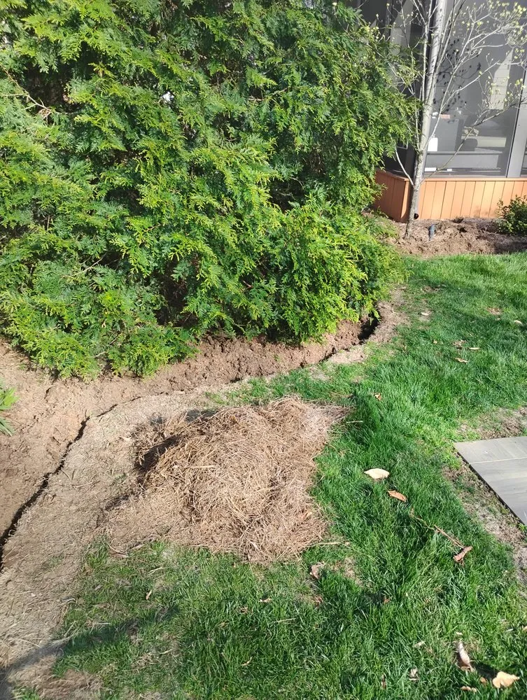 Custom outdoor landscaping for year-round maintenance in Ashland City, TN by Broken by the Cross Landscaping