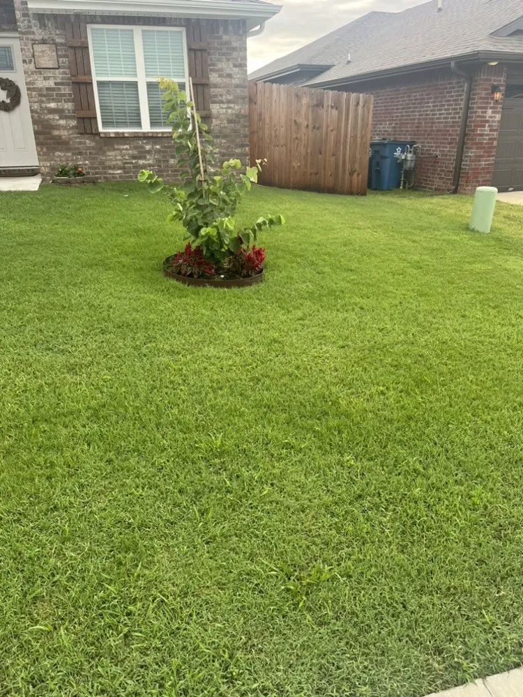 Top-rated landscape installation in Bentonville, AR - Broken Chains