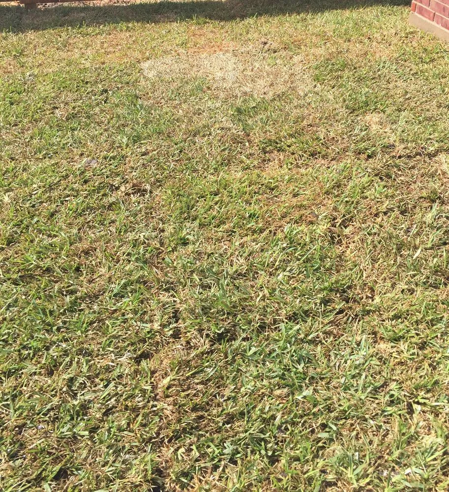 Custom landscaping services for homes across Houston, TX - Brokers Grass