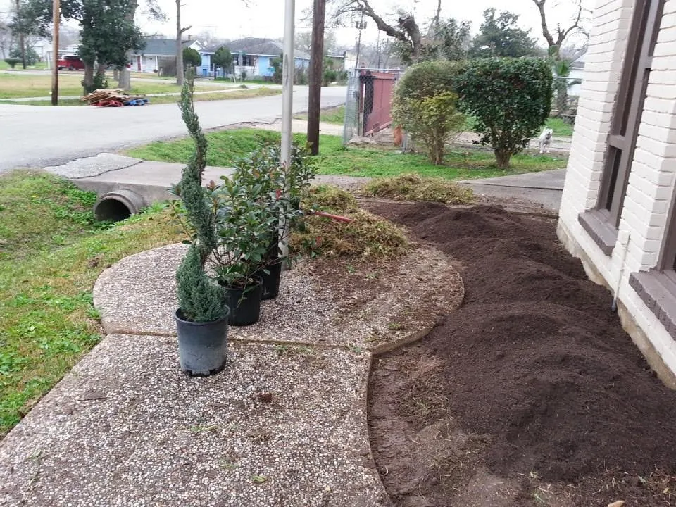 Local yard maintenance in Houston, TX - Brokers Grass